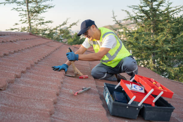 Best Storm Damage Roof Repair  in Brewton, AL