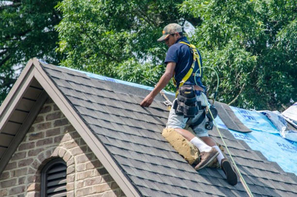 Best Roof Gutter Cleaning  in Brewton, AL